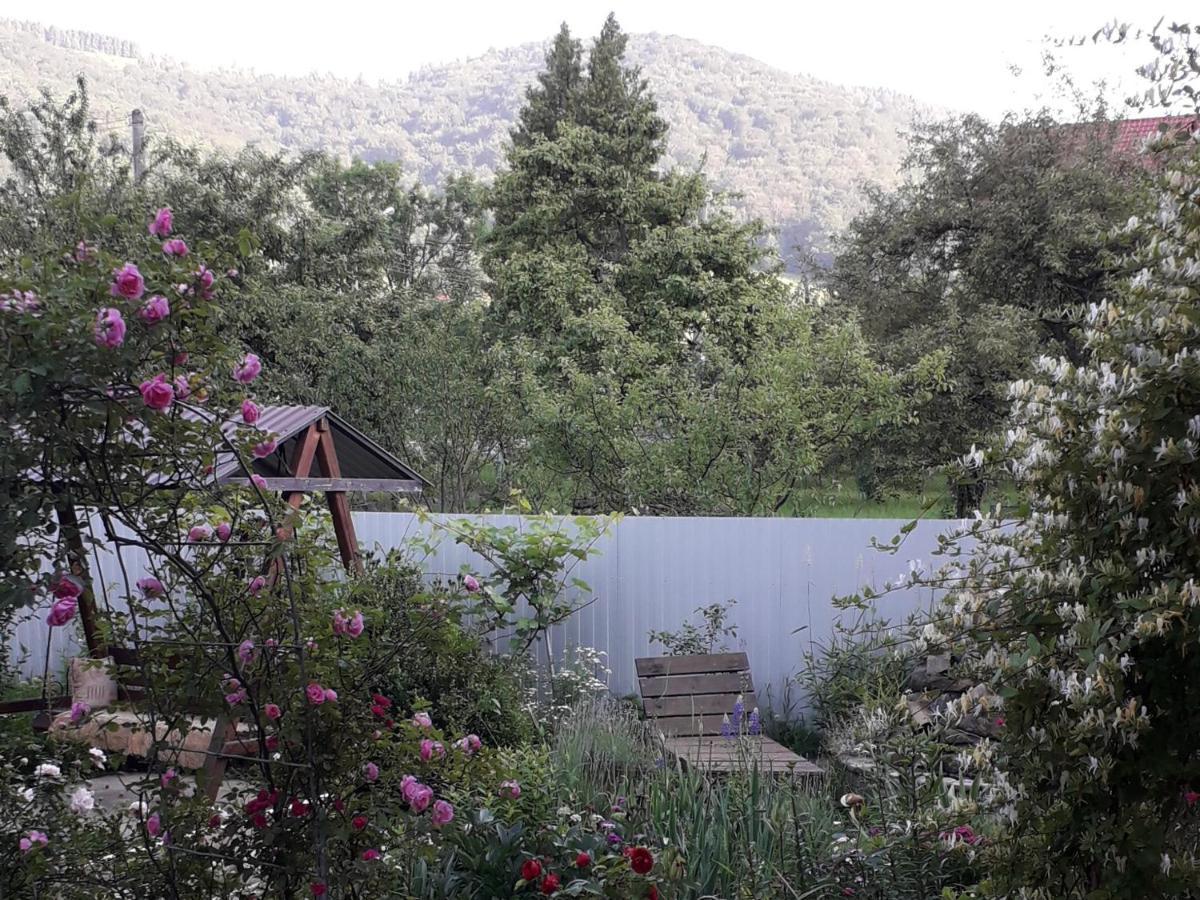 Лаванда Yaremche Dış mekan fotoğraf