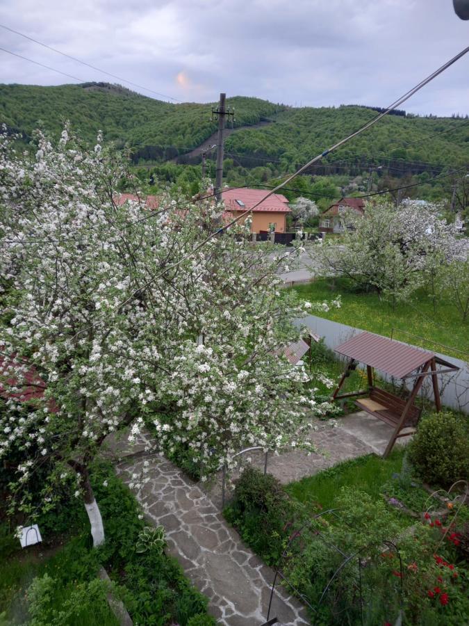 Лаванда Yaremche Dış mekan fotoğraf