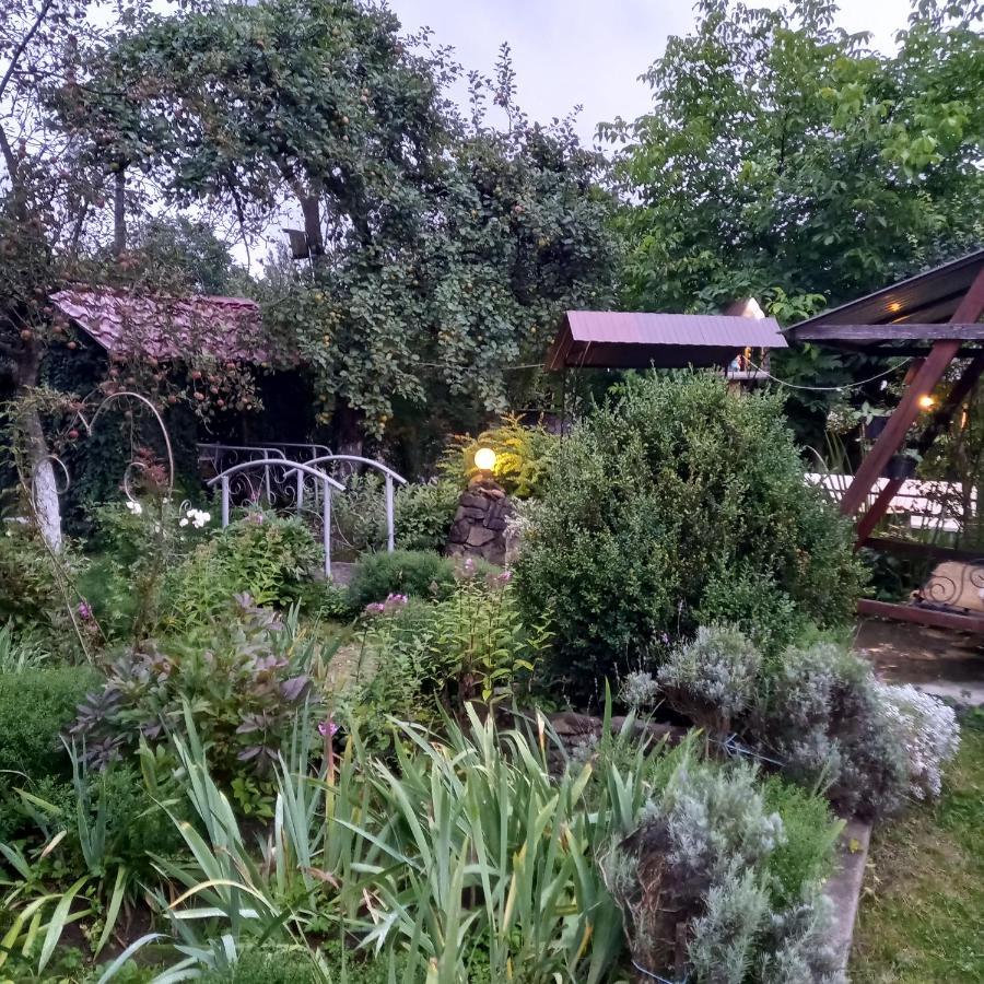 Лаванда Yaremche Dış mekan fotoğraf